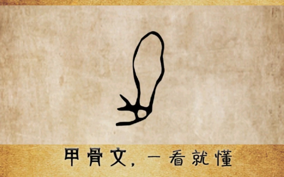 "疋"甲骨文4600多个,每天学习一点点