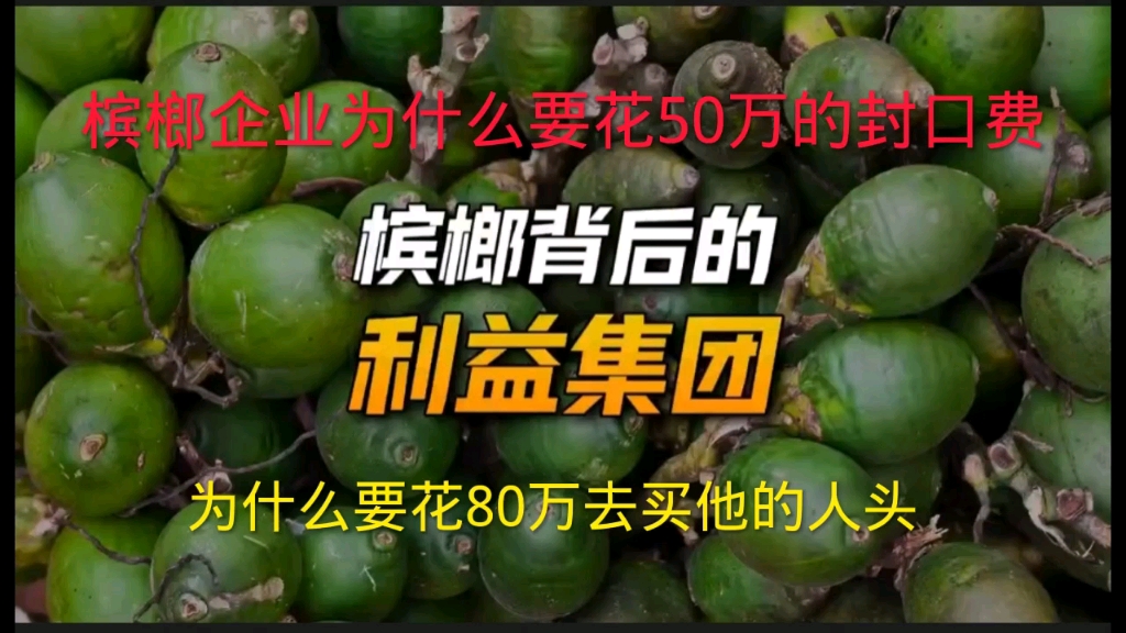 槟榔企业为什么要给50万封口,80万买人头,封杀槟榔到底动了谁的奶酪?哔哩哔哩bilibili