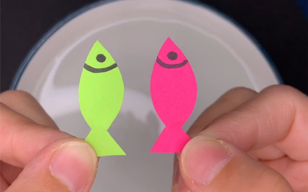 陪孩子一起做一个科学小实验,会游泳的小纸鱼,猜猜是什么原理?