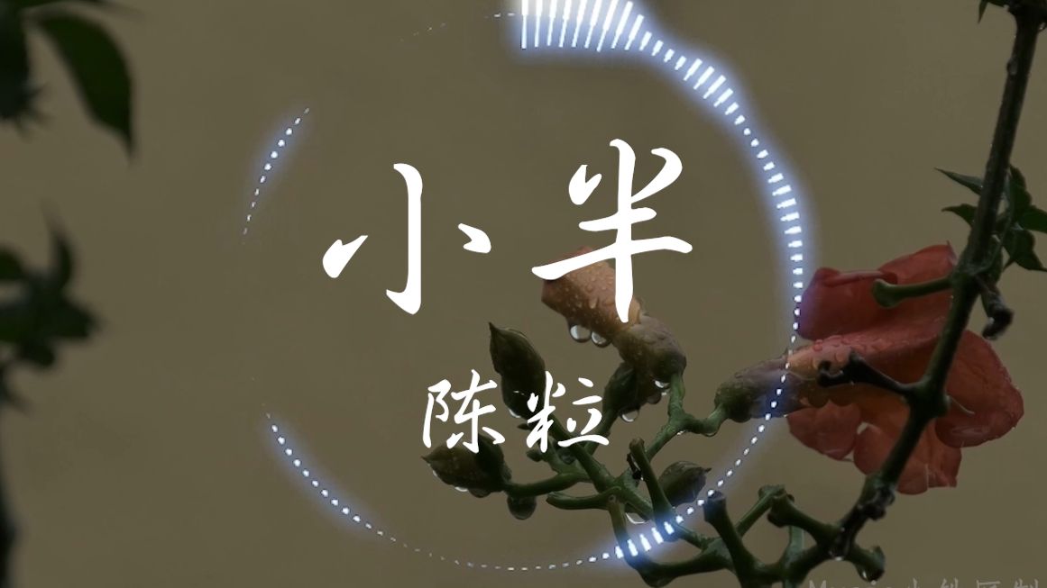 【4K Hi-Res】手写的从前-周杰伦-不懂怎样玩gen-music-哔哩哔哩视频