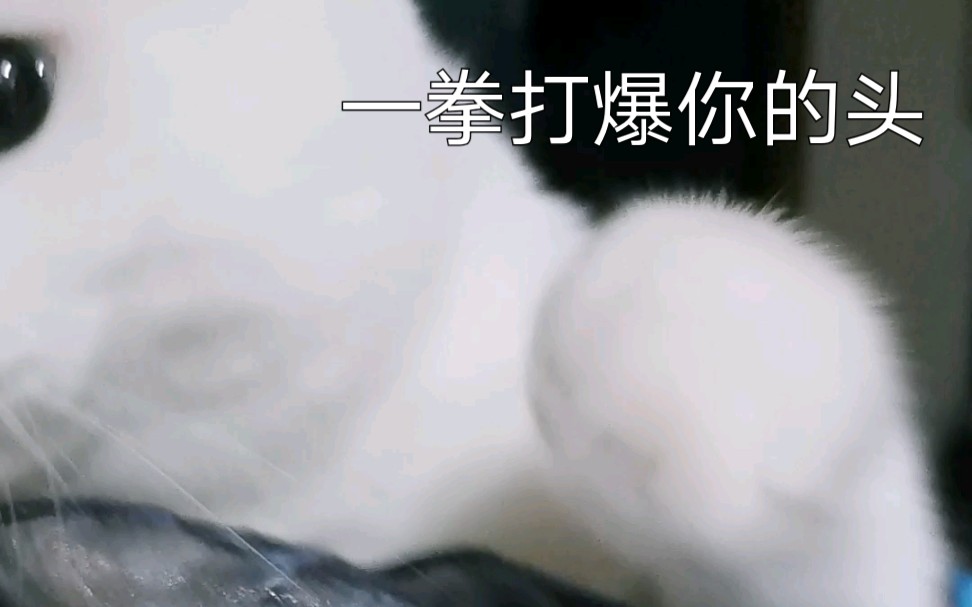 夜间运动哔哩哔哩bilibili