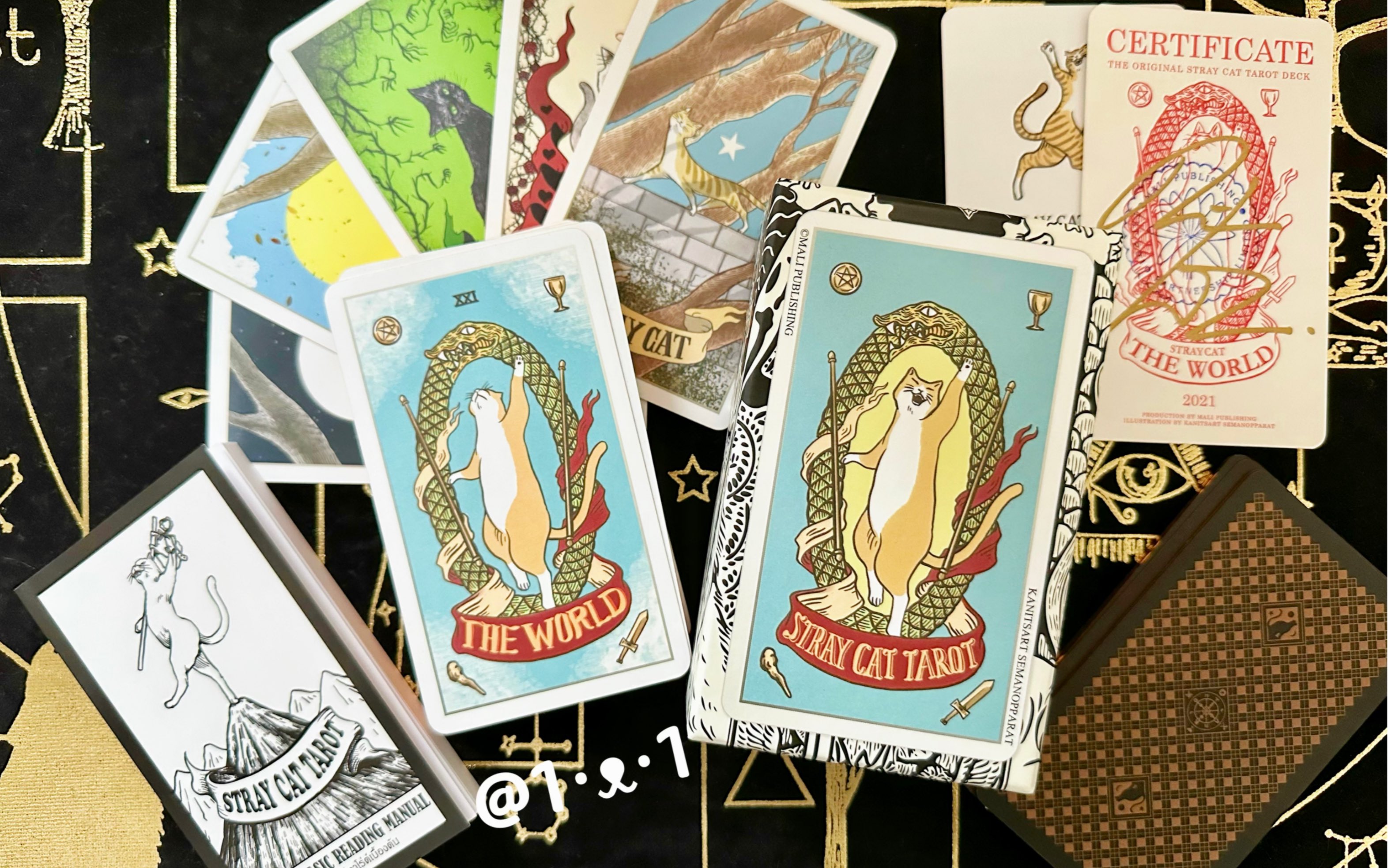 「塔罗牌分享」流浪猫塔罗牌第二版 stray cat tarot