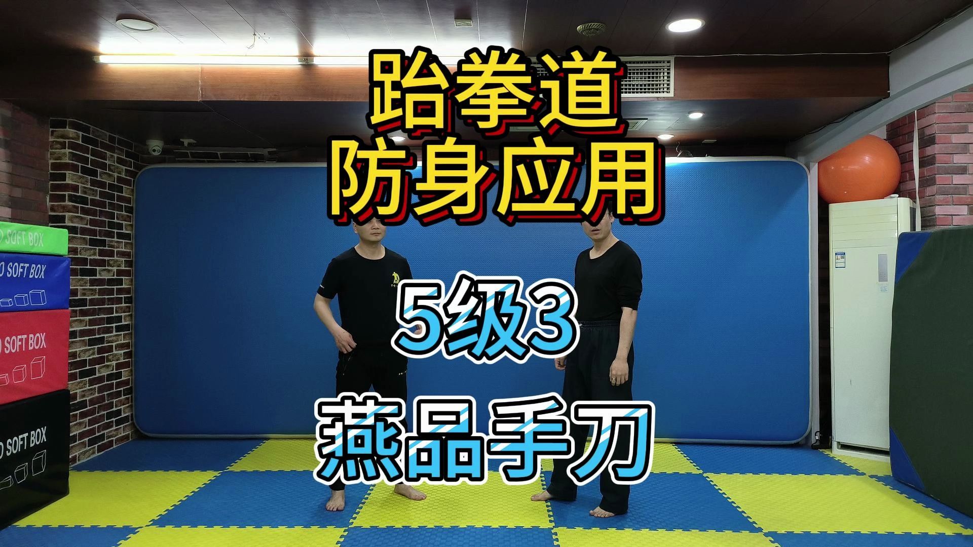 跆拳道防身应用燕品手刀