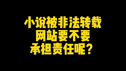 小说被非法转载网站要承担责任吗?哔哩哔哩bilibili