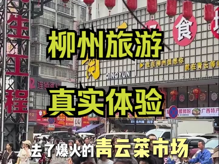 可能是全网最真实的柳州旅游攻略了(实名安利)哔哩哔哩bilibili