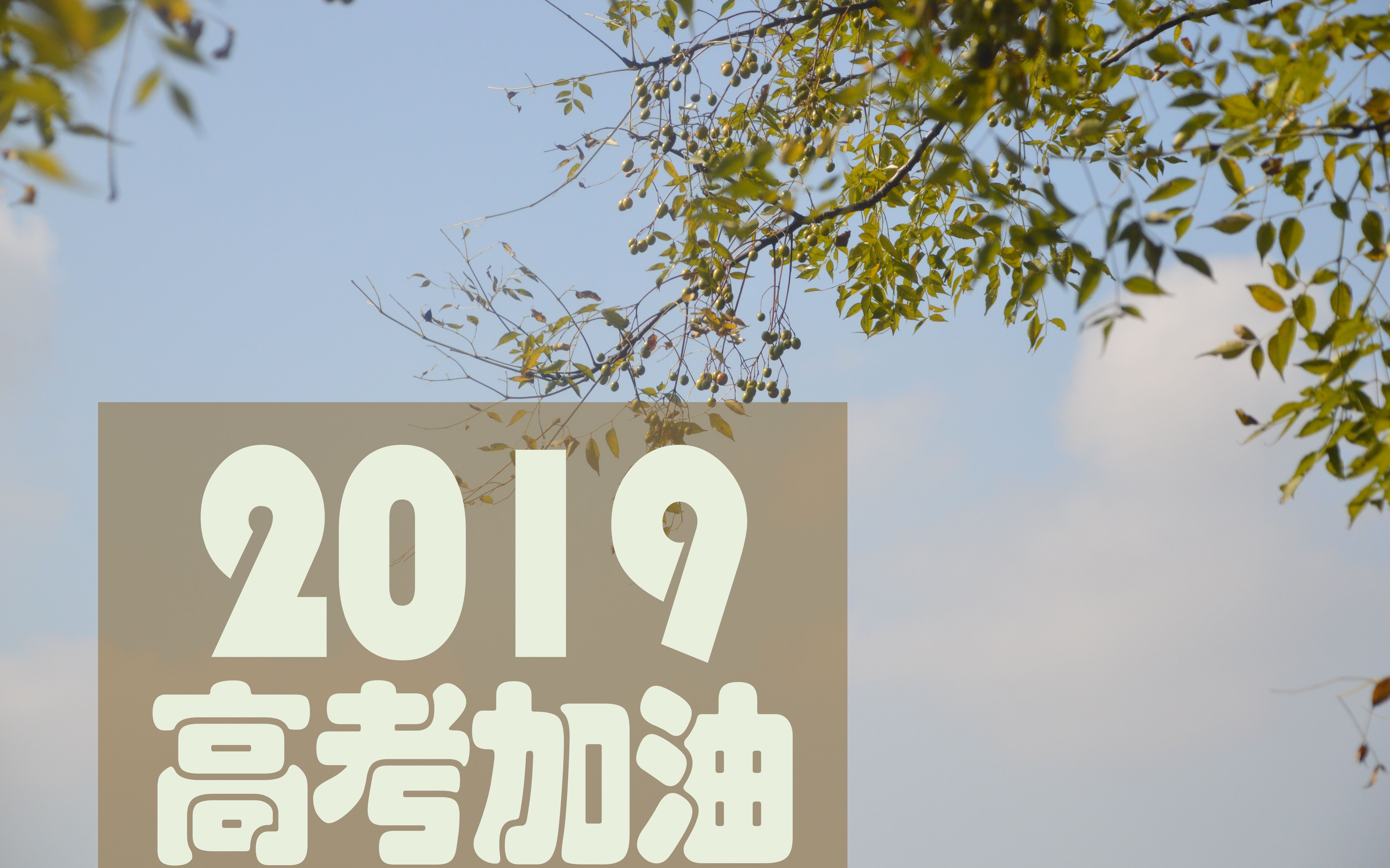 [图]【大八班】2019曲江中学高考应援（来自2016届的老师兄师姐）