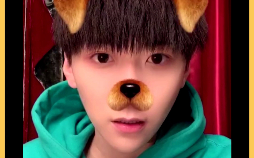 【王博文】王总的睡前故事之玩!嗨!了!前方大量表情包,请注意查收