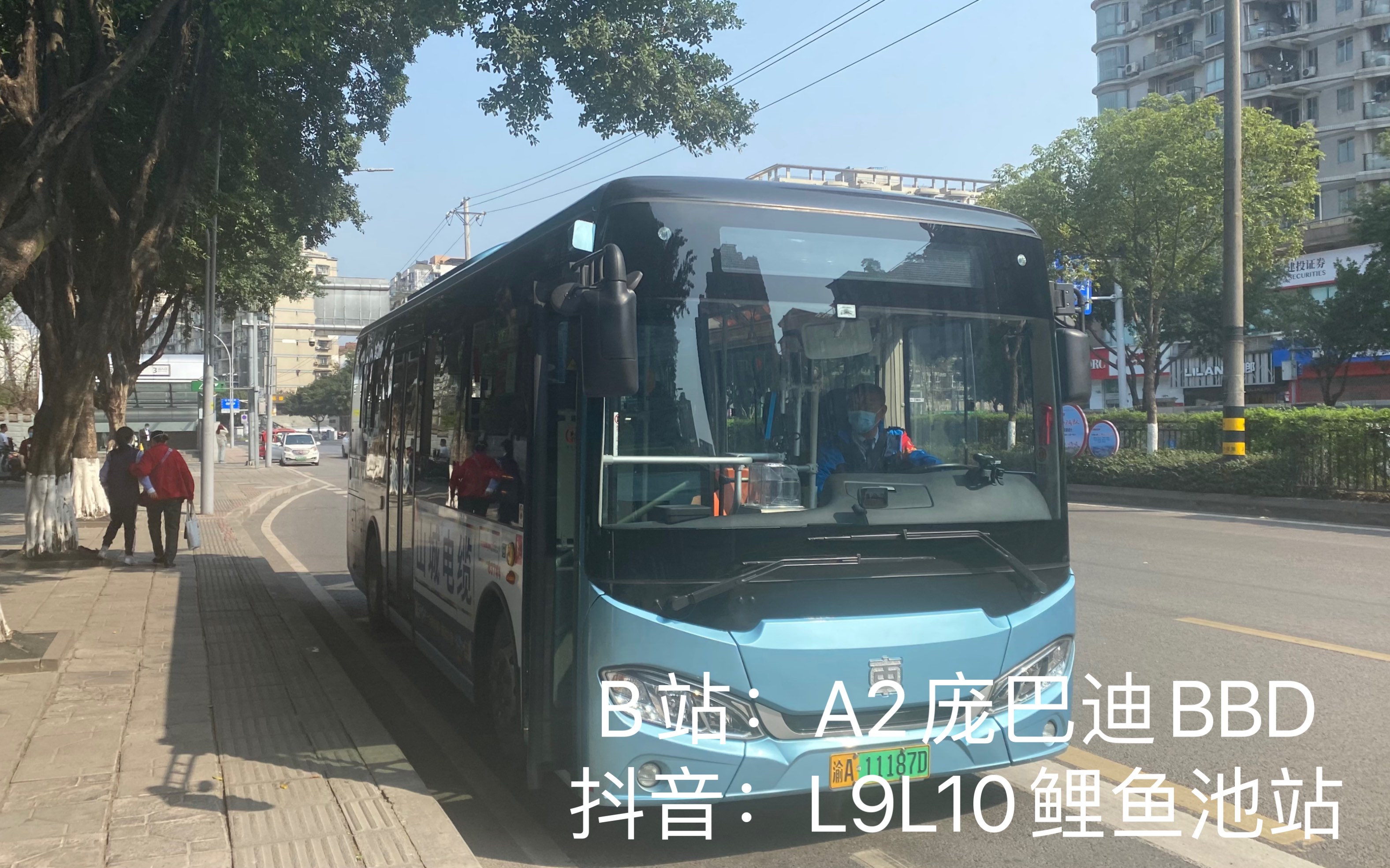 重庆231路公交车路线图图片