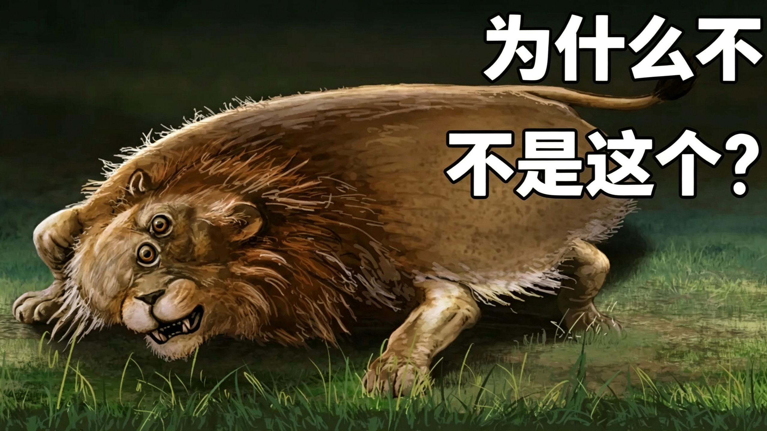 为何99%的动物具有对称性（以及1%动物为何不具备这一特征）_双语字幕