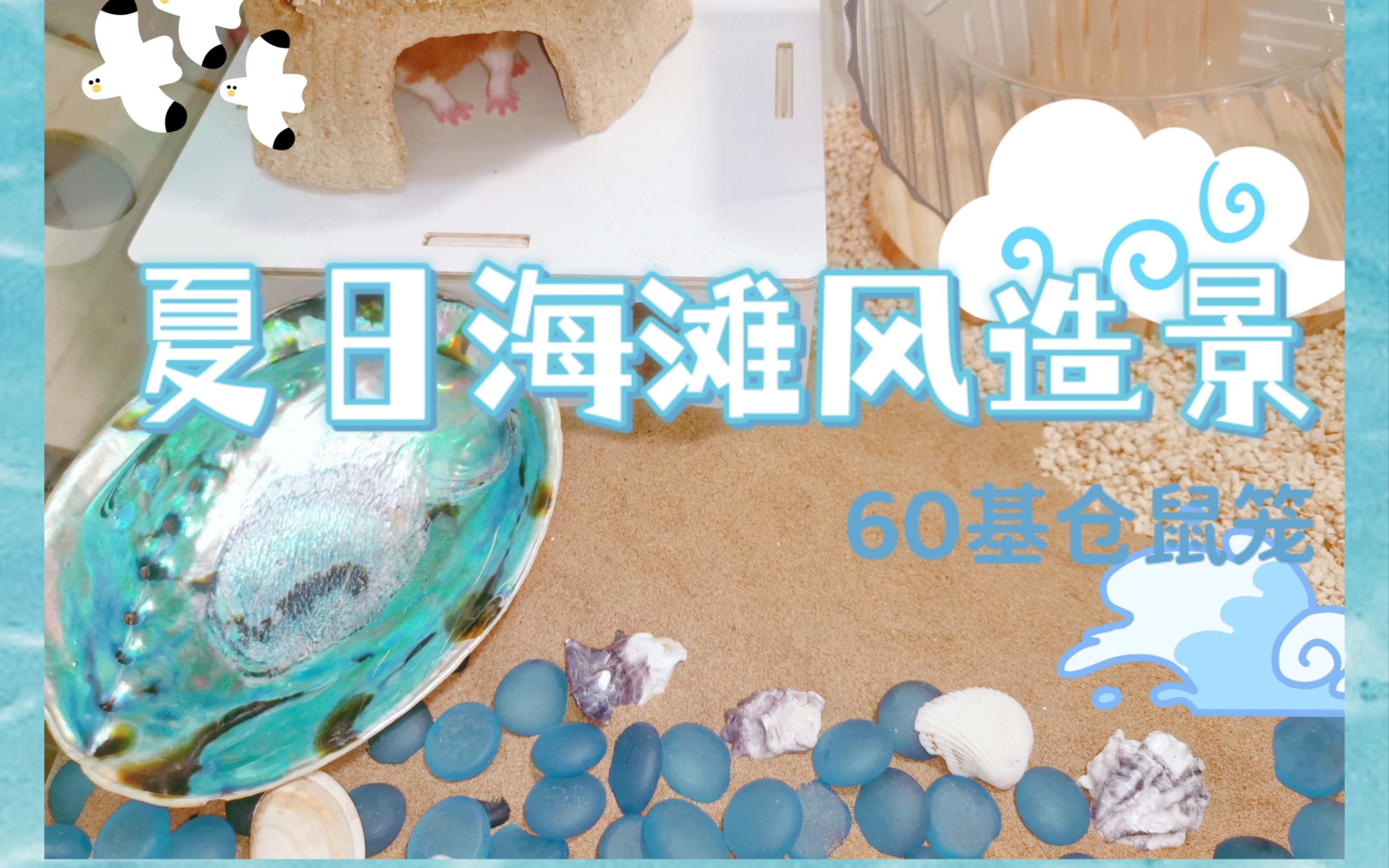 夏日海滩风造景/60基仓鼠笼造景哔哩哔哩bilibili