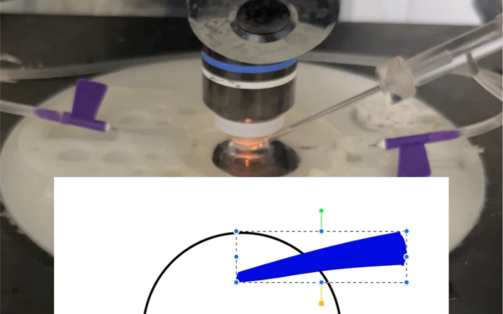 Patch Clamp: Finding Electrodes