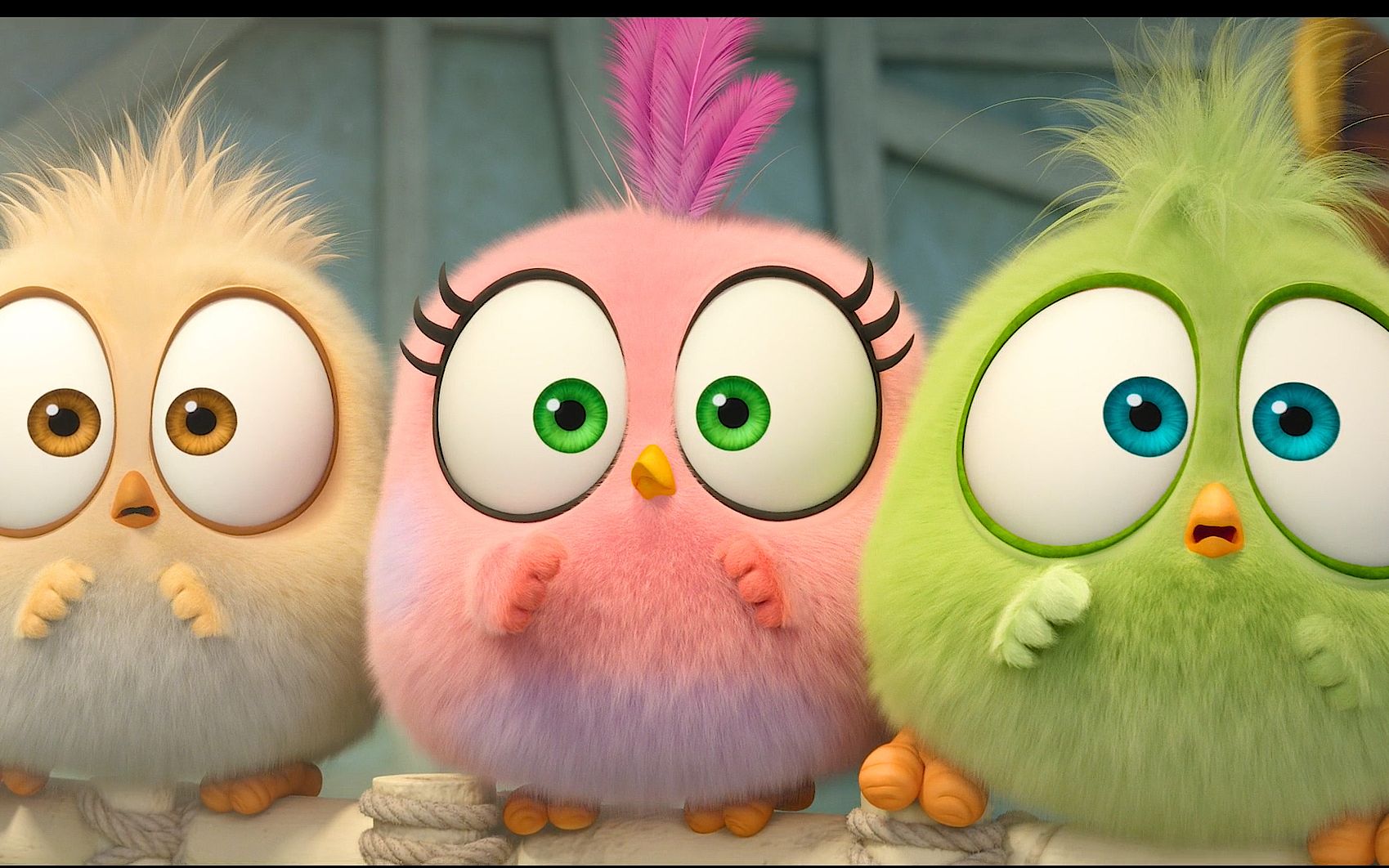 这么萌的三萌包你爱了吗