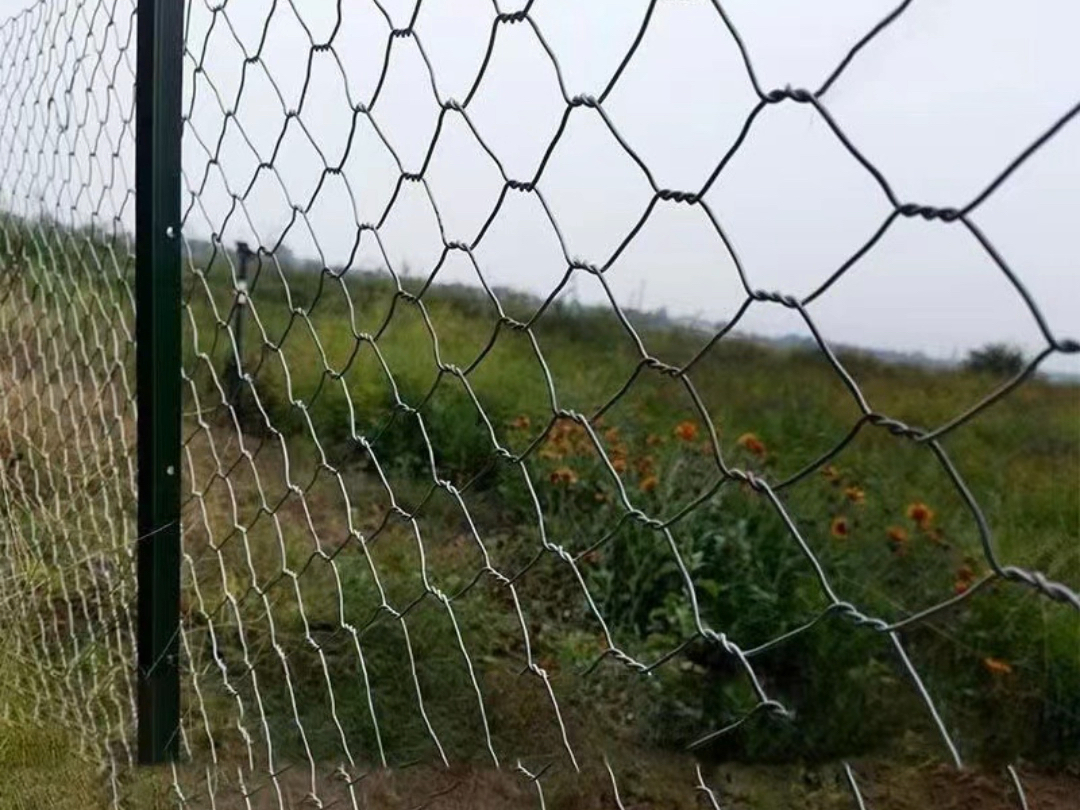六角网护栏