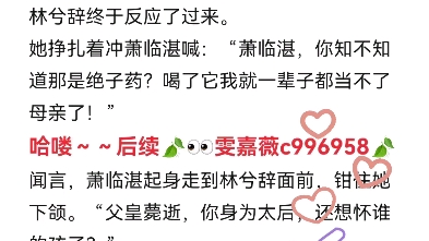 最新完结古言禁忌误会重生梗虐文最新全集《林兮辞祝临湛》林兮辞祝临湛小说全文无删减热门推荐哔哩哔哩bilibili