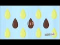 [图]Babs Seed song Japanese Ver