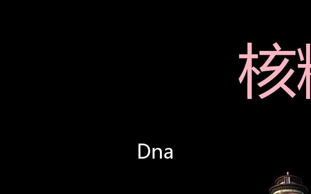 核糖核酸 Chinese Pronunciation DNA哔哩哔哩bilibili