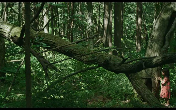 韩国恐怖片预告苌山虎