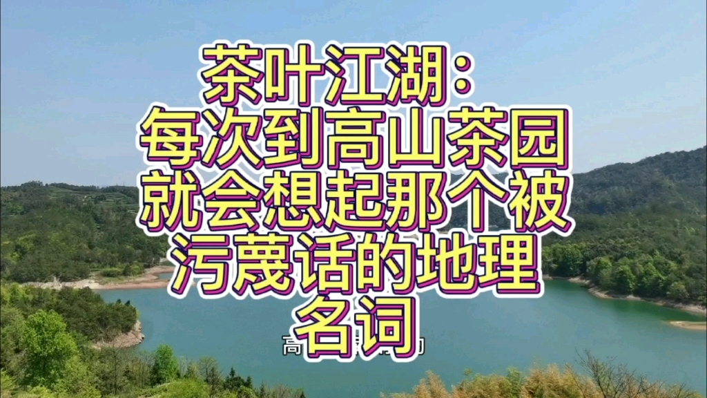 台地本来是一个地理专用名词,硬生生被普洱茶贼玩成了贬义词哔哩哔哩bilibili