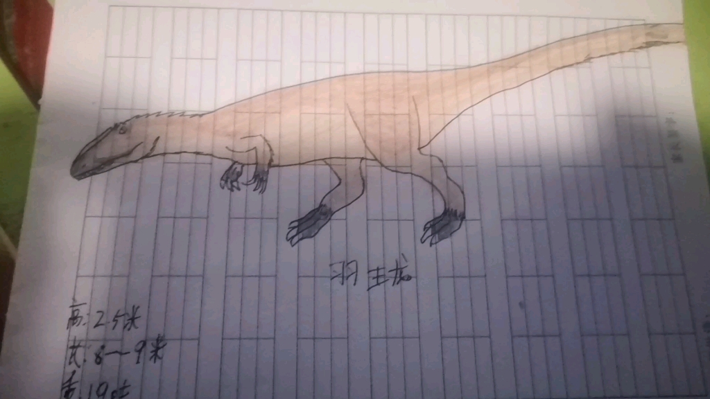 雪山歌姬,牛龙的大哥,羽王龙!