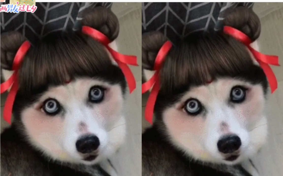 浓眉大眼的,简直美呆了!——搞笑gif合辑!