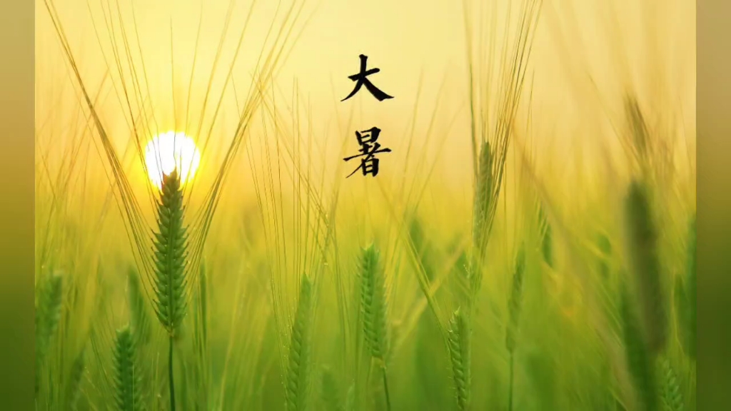大暑节气快到了