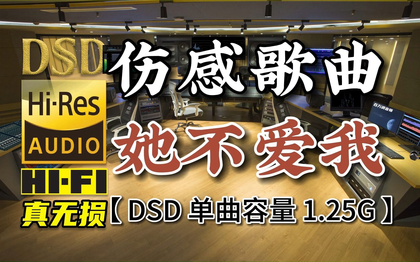 顶级无损HIFI音乐:伤感歌曲《她不爱我》DSD完整版,单曲容量1.25G,百万调音师专业制作哔哩哔哩bilibili