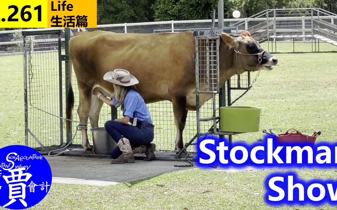 [图]Stockman Show 边牧放羊 农场如何挤牛奶 动物农庄 天堂农场 黄金海岸旅游 L261