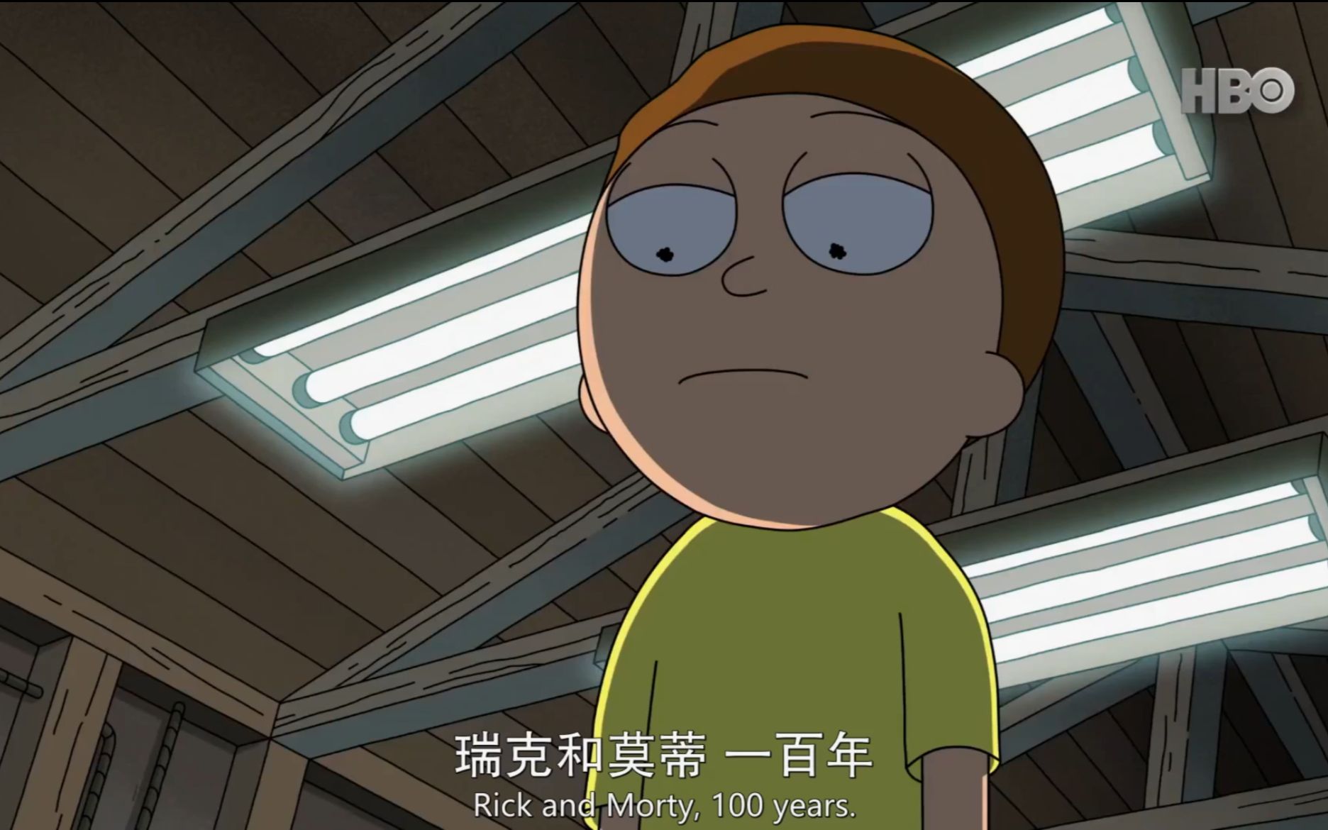 the story of evil morty (s07e05)