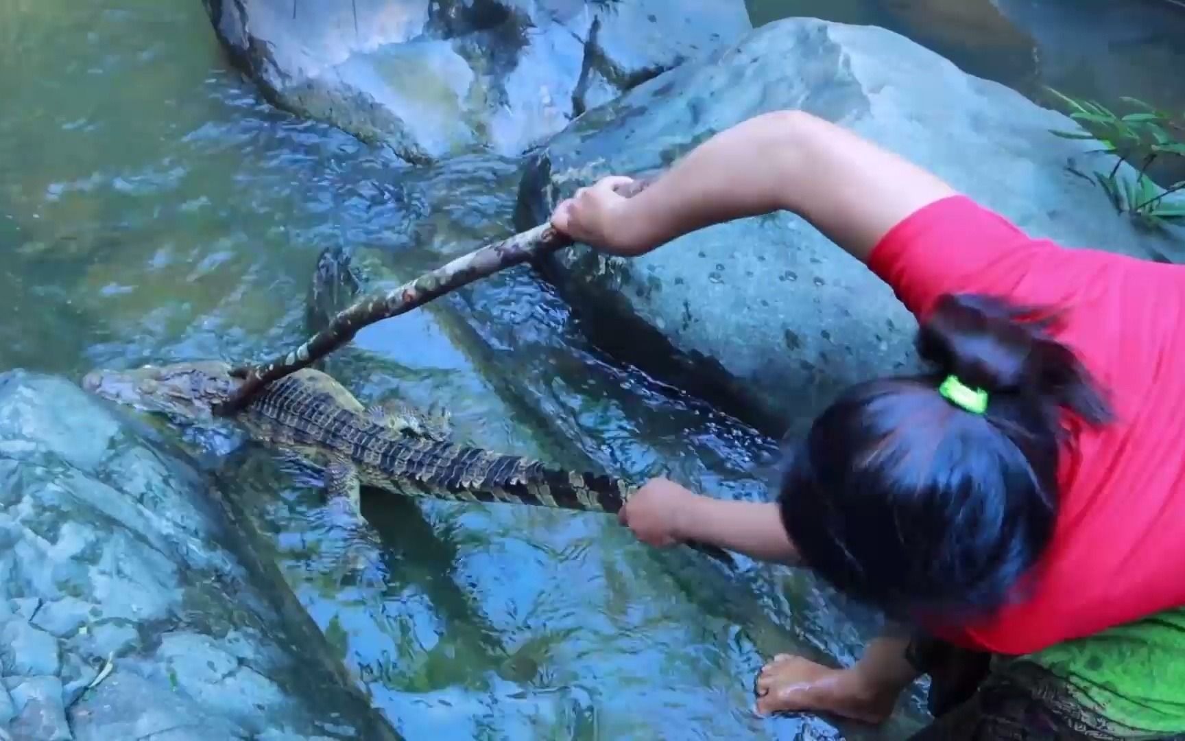 山野女子,石頭上吃榴蓮發現鱷魚,生擒後碳烤鱷魚