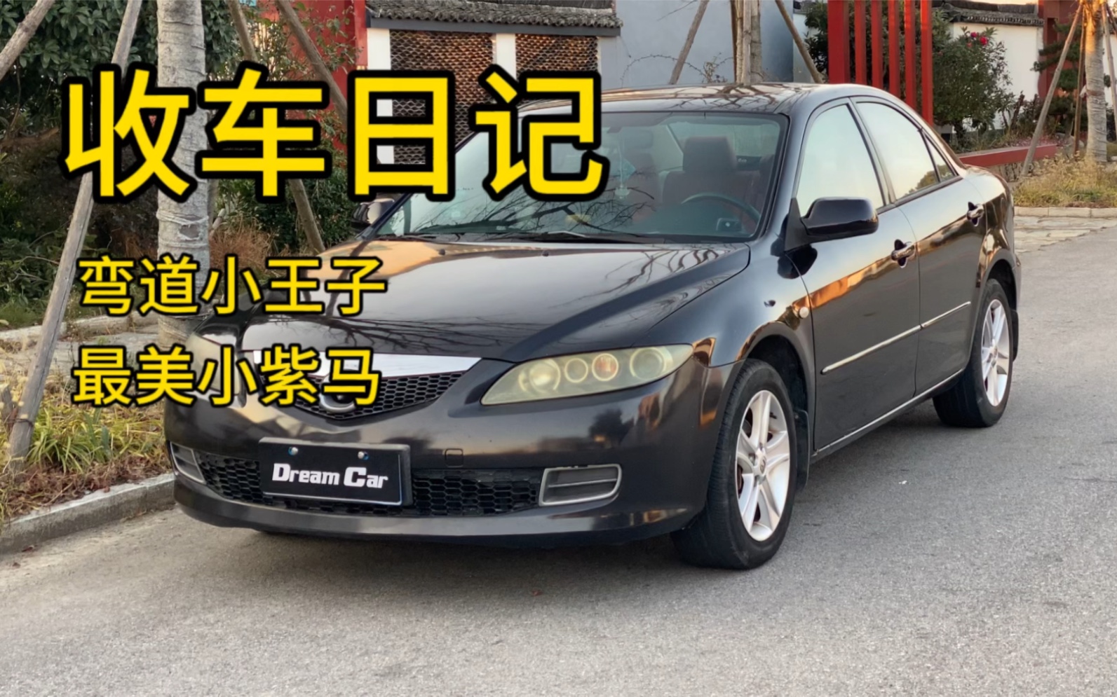 收车日记 1 2万买啥二手车 必须马6弯道小王子啊 最美皮肤紫晶檀
