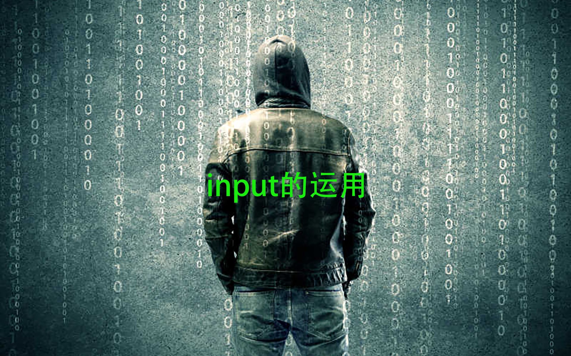 计算机基础:input的运用哔哩哔哩bilibili