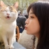 【冰冰vlog.006】吸猫猫的喵酱，一天撸到30多只猫！