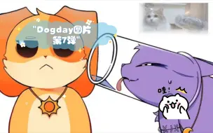 Download Video: Dogday图片  第7弹