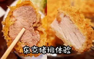 Download Video: 东京Top5的猪排饭，排了2个小时才吃到丨东京美食VLOG