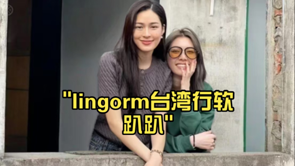 lingorm台湾行软趴趴哔哩哔哩bilibili