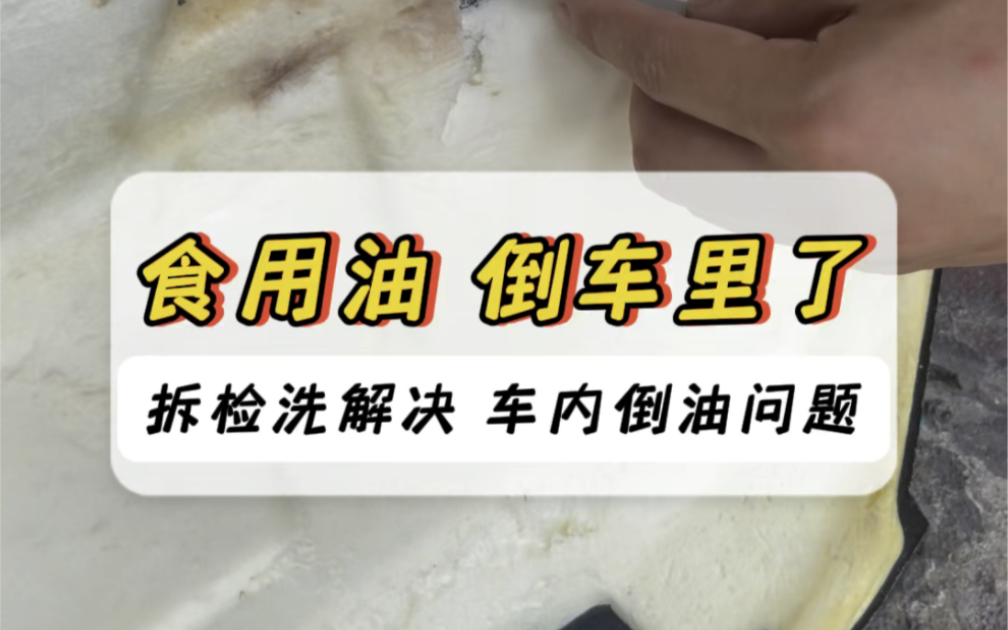 食用油倒车里了怎么处理,拆检洗解决油污油问题,#食用油清洗 #车内倒了食用油怎么处理 #汽车内饰清洗 #精洗 #每天一个汽车知识哔哩哔哩bilibili