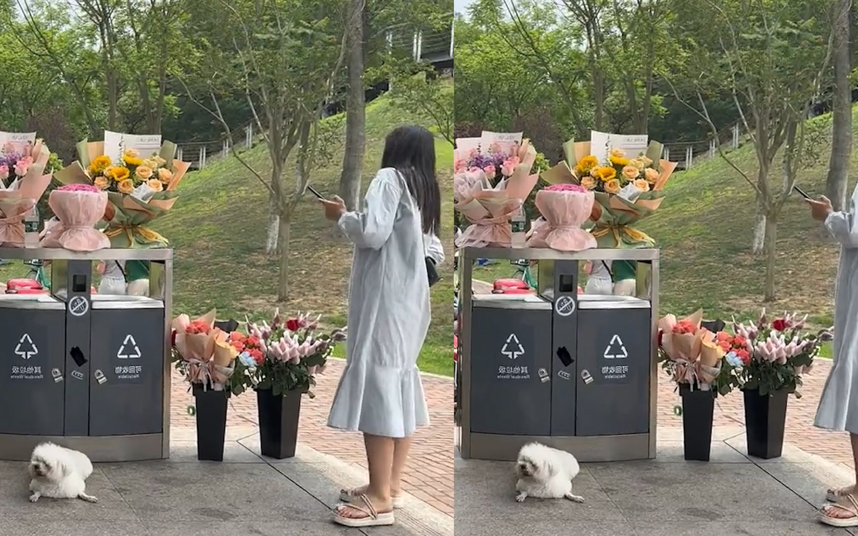 520地铁站垃圾桶摆满鲜花,无人认领成为浪漫回收站:发家致富!