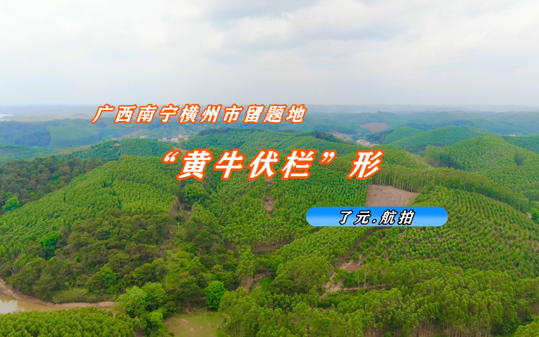 广西南宁横州市留题地黄牛伏栏形