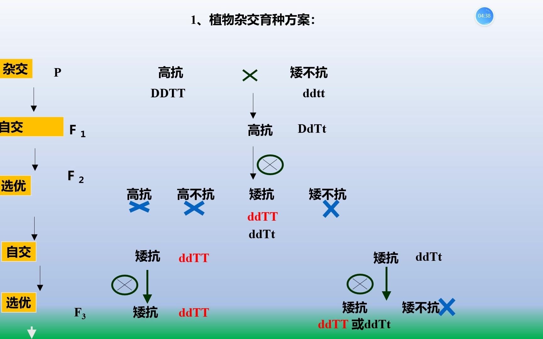 雜交育種與誘變育種(一)_嗶哩嗶哩 (゜-゜)つロ 乾杯~-bilibili