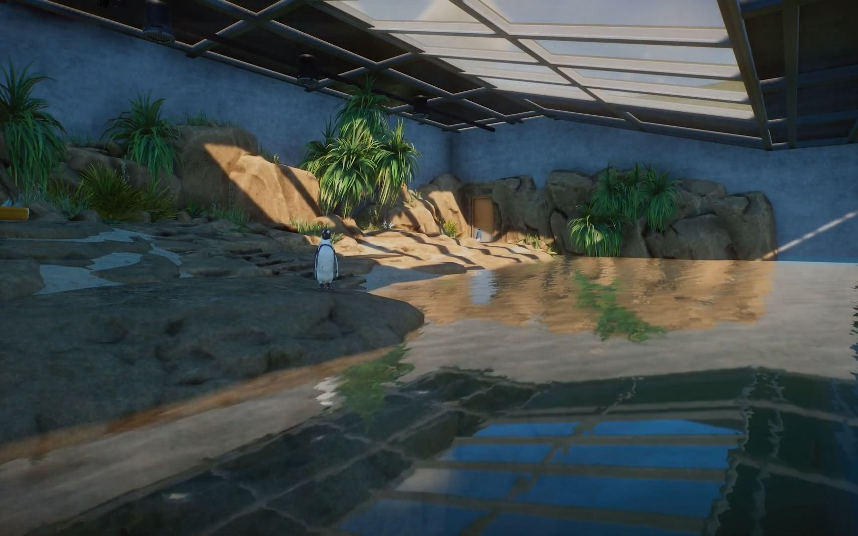 动物园之星 黑脚企鹅栖地 油管大神建造