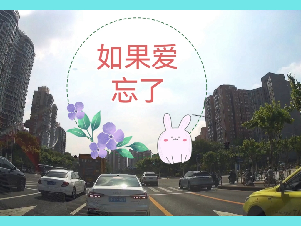 如果爱忘了