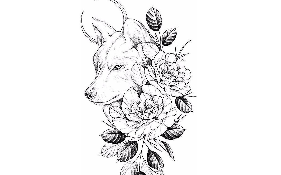 绘画初学者的线条定位练习