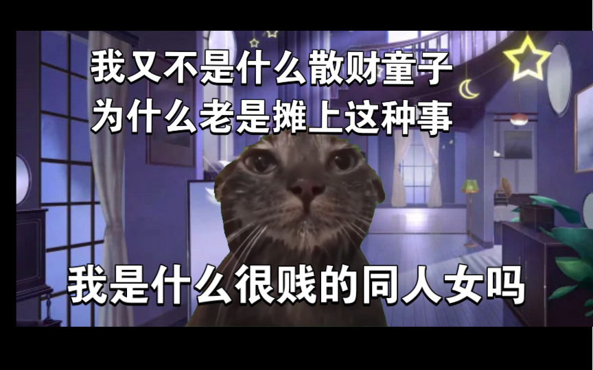 【猫meme】破产公司能不能别再出来害人哔哩哔哩bilibili