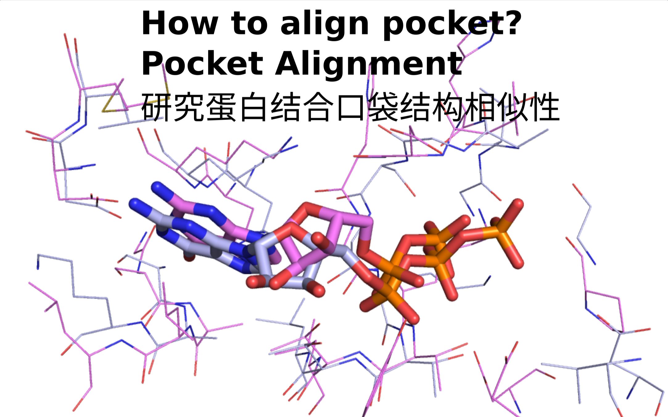 Pymol蛋白结合口袋结构比较(pocket alignment)哔哩哔哩bilibili