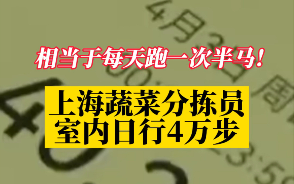 室内日行4万步,上海蔬菜分拣员相当于每天跑一次半马!哔哩哔哩bilibili