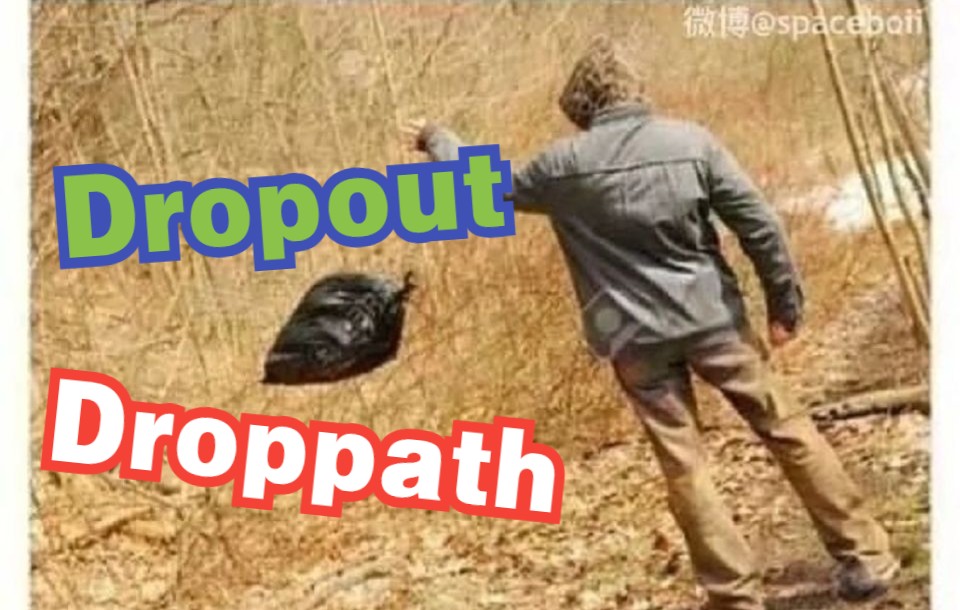 【个人理解向】Dropout和Droppath原理及源码讲解哔哩哔哩bilibili