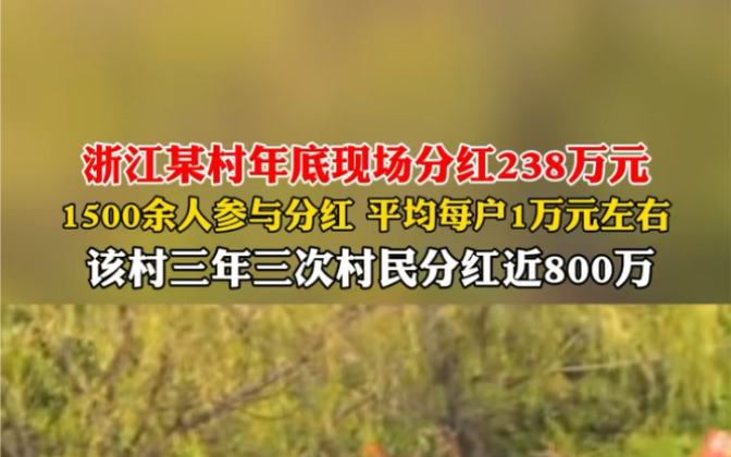 近日 浙江衢州鸡鸣村年底现场分红238万元,1500余人参与分红,平均每户1万元左右.该村三年三次村民分红近800万.哔哩哔哩bilibili