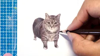手绘可以旋转的oiiai猫