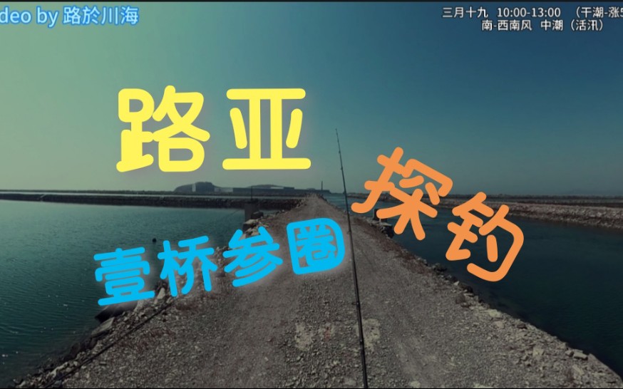 大连壹桥海参路亚根钓哔哩哔哩bilibili