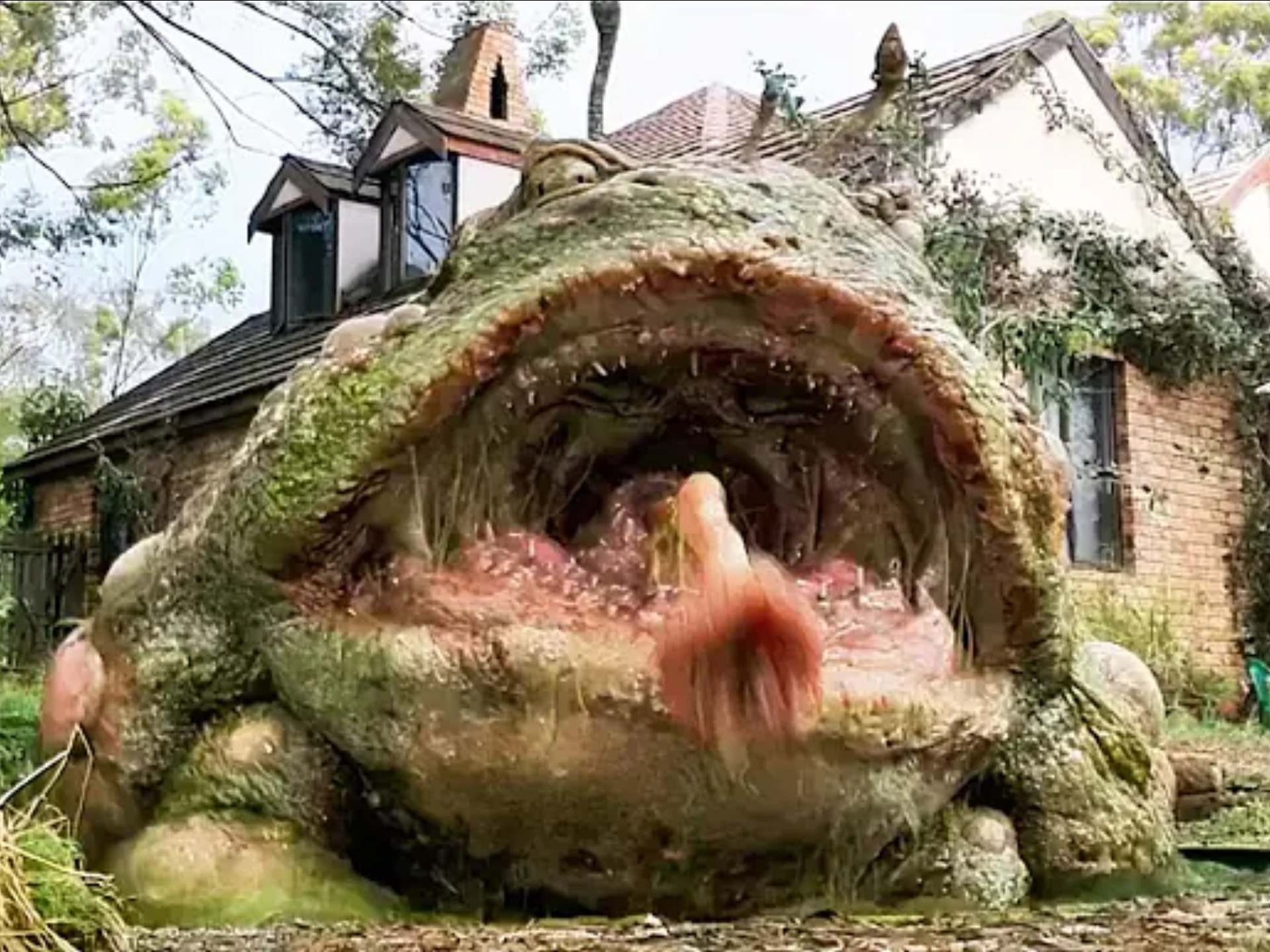 蛤蟆可以吞人,蜗牛比山还高!人类成了最底层的食物!